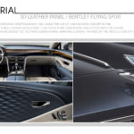 3D Leather Panel / Bentley Flying Spur