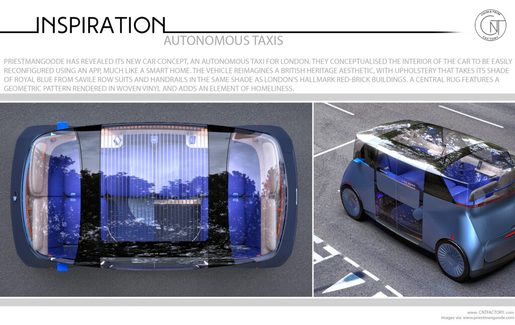 The New Car Autonomous Taxi