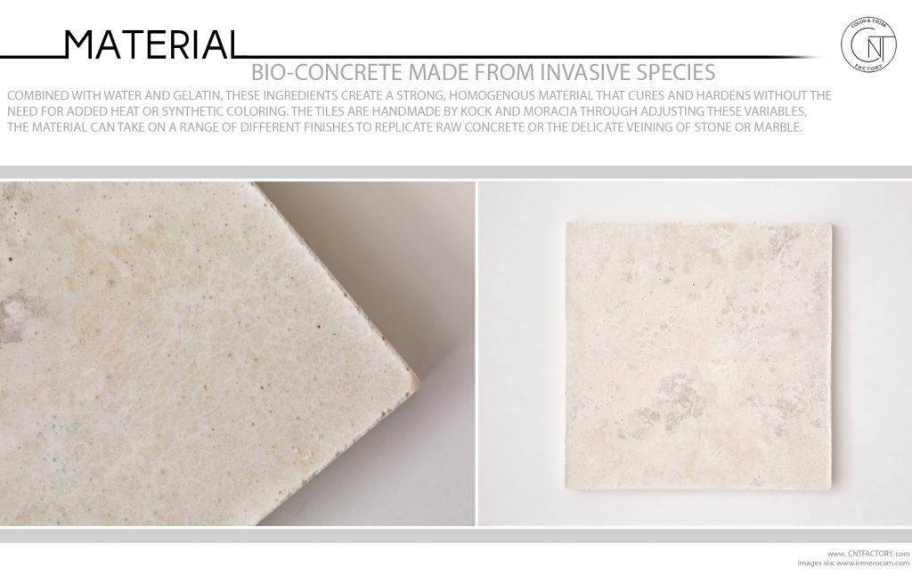 Bio Concrete Made From Invasive Species