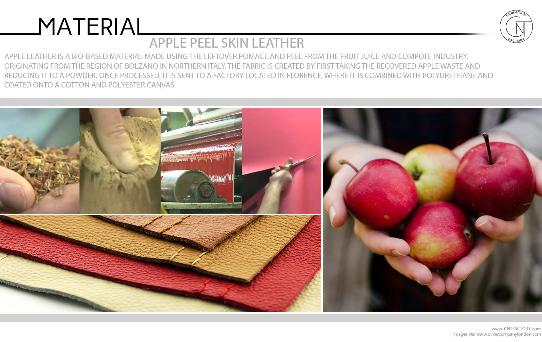 leather jacket for apple shape