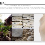 Sustainable Mycelium Foam