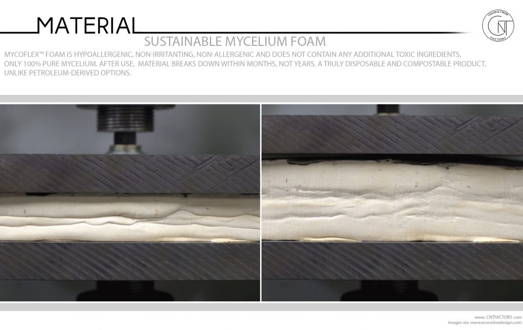 Sustainable Mycelium Foam