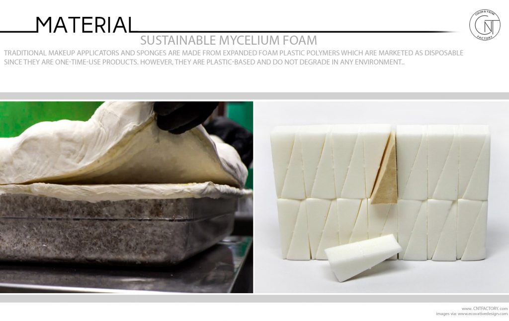 Sustainable Mycelium Foam