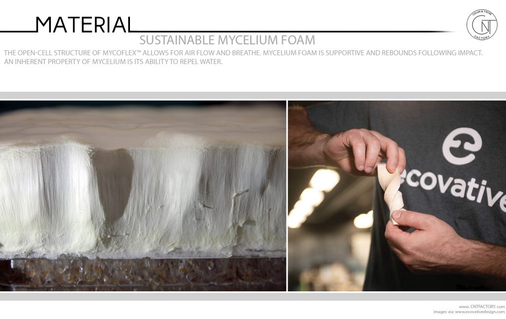 Sustainable Mycelium Foam