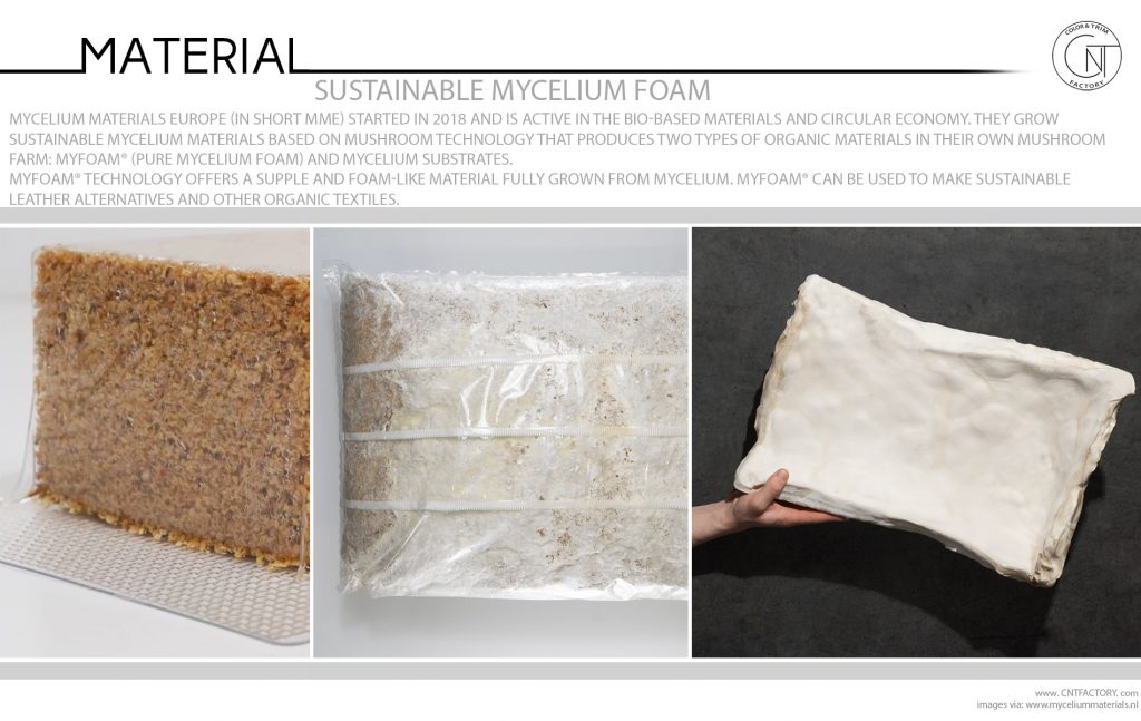 Sustainable Mycelium Foam