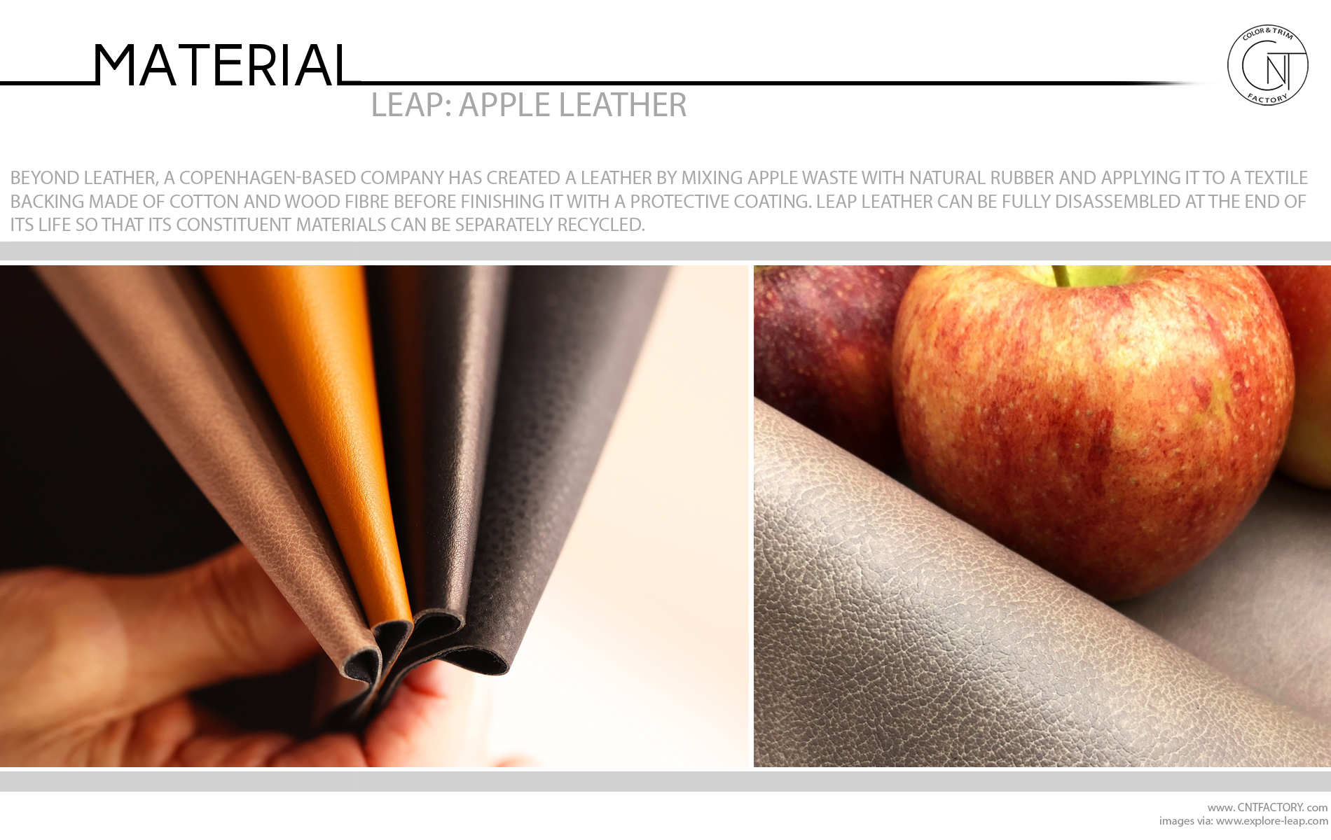 Leap Apple Automotive Color Trim Trends Design