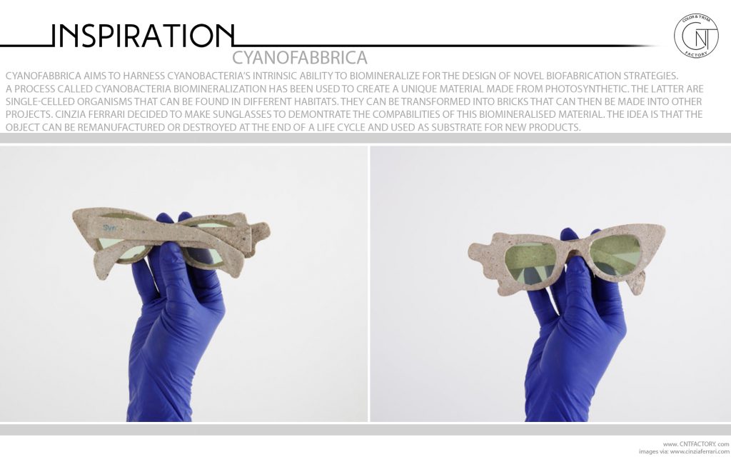 Cyanobacteria Biomineralization