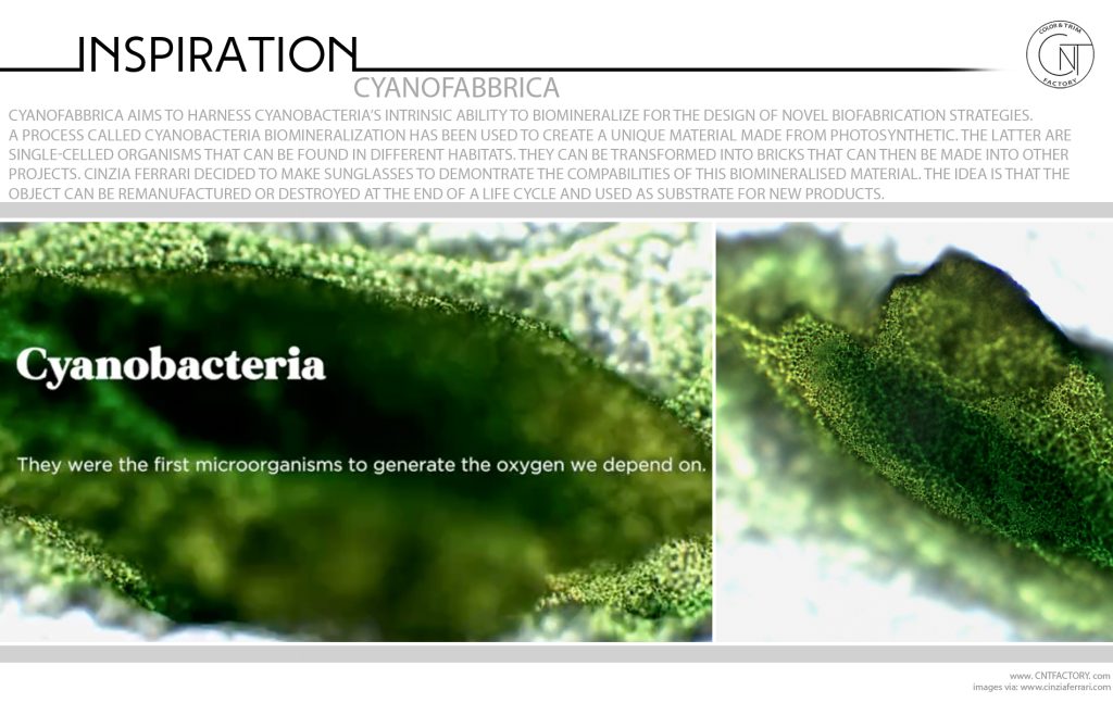 Cyanobacteria Biomineralization