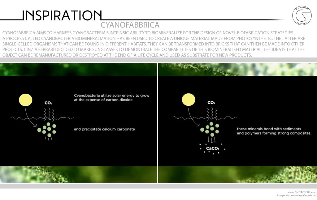 Cyanobacteria Biomineralization