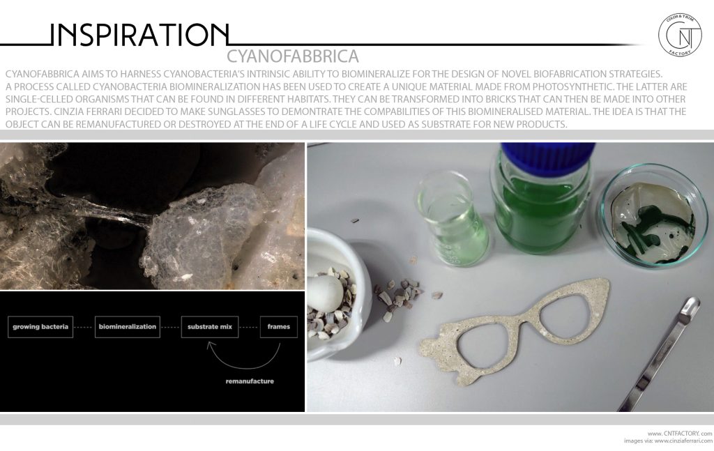 Cyanobacteria Biomineralization