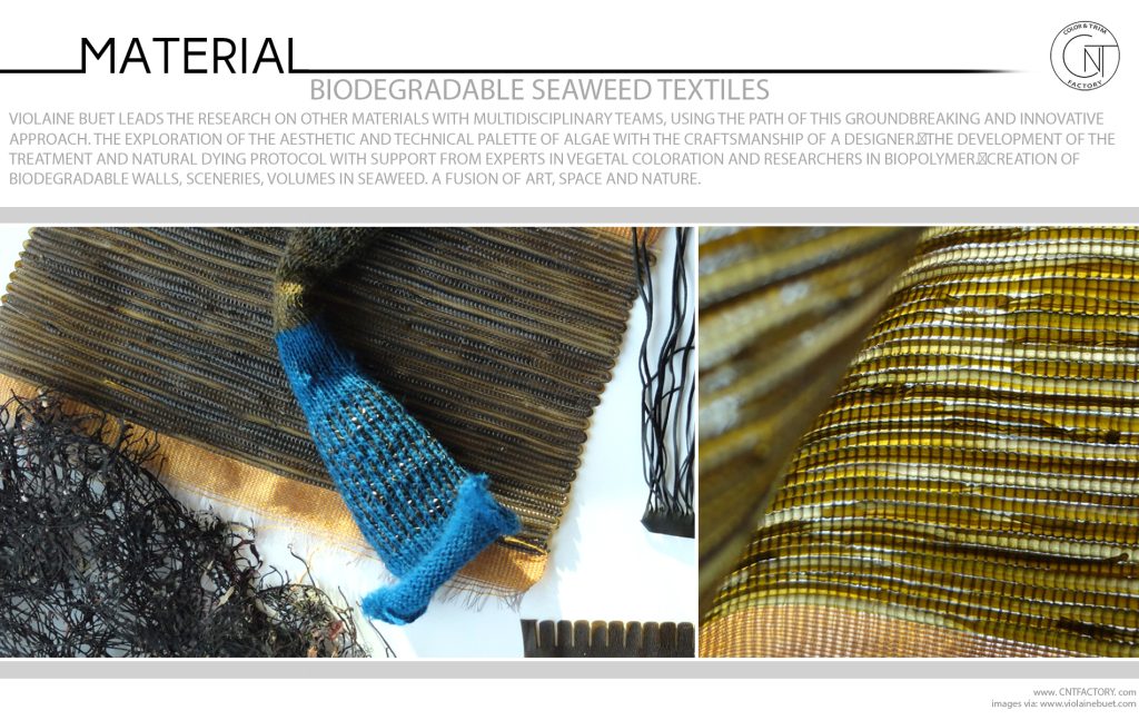 Biodegradable Seaweed Textiles