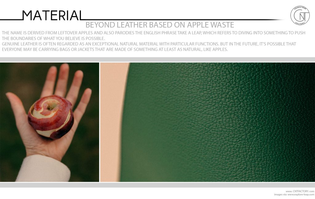Beyond Leather Based On Apple Waste