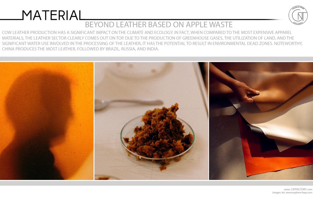 Beyond Leather Based On Apple Waste