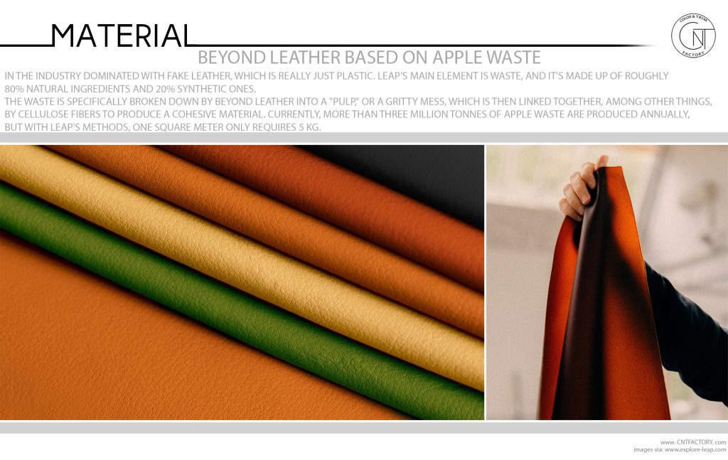 Beyond Leather Based On Apple Waste