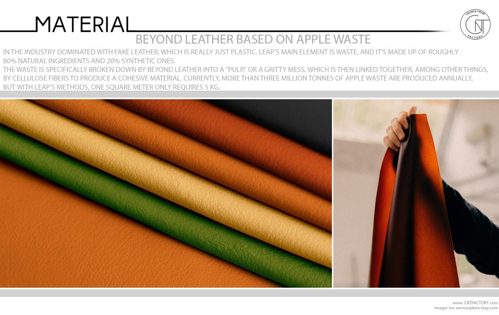 Beyond Leather Based On Apple Waste