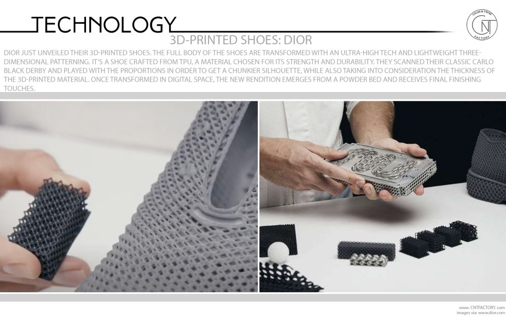 3D Printed Shoes Dior