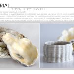 3D Printed Oyster Shell