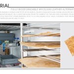 Fully Biodegradable Mycelium Leather Alternative 