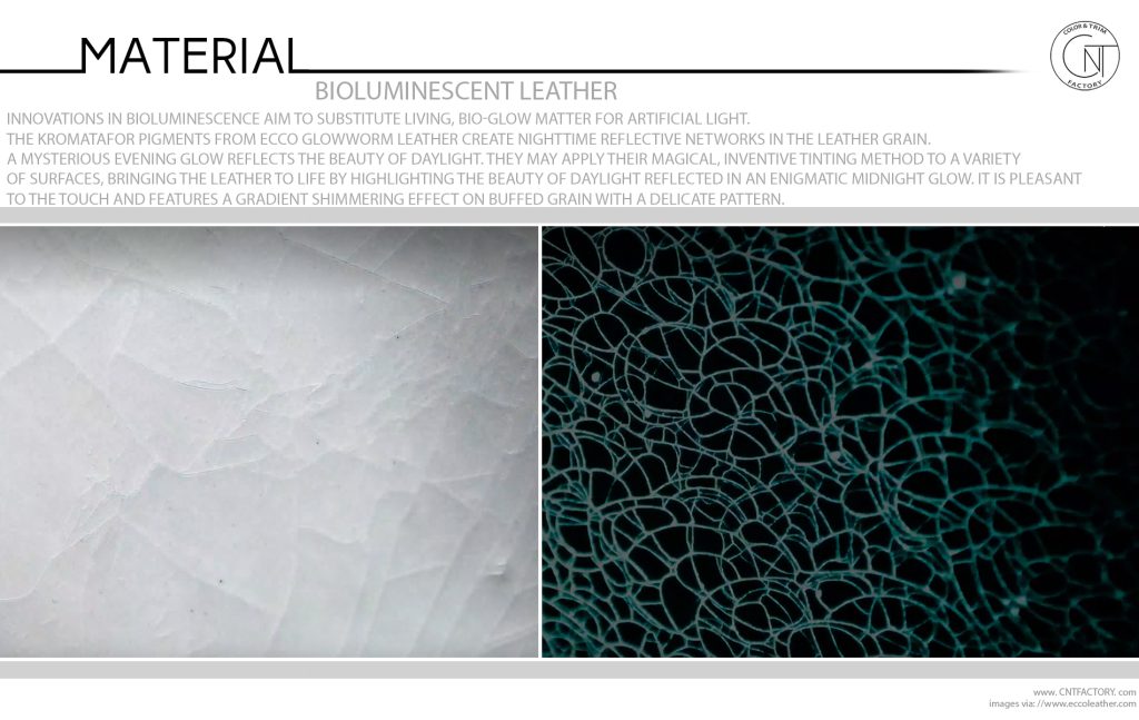 Bioluminescent Leather