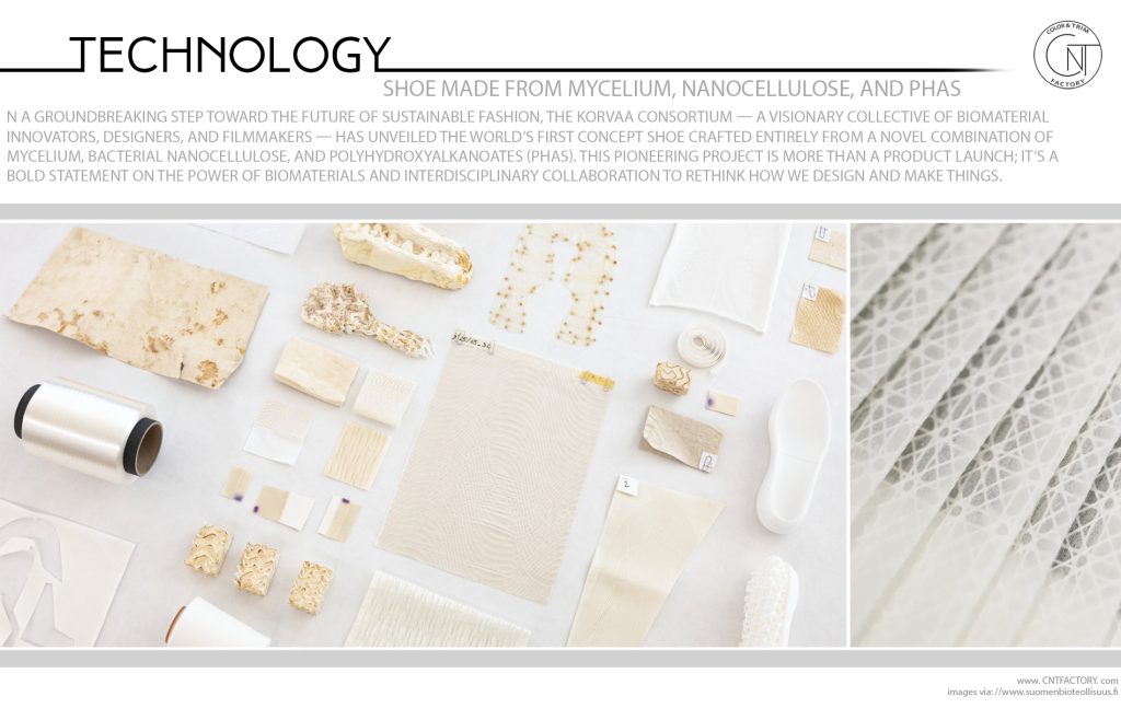 Shoe Made from Mycelium Nanocellulose PHAs