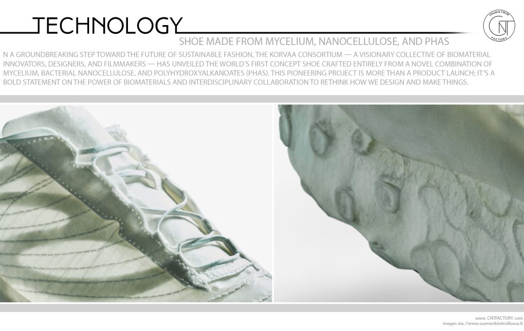 Shoe Made from Mycelium Nanocellulose PHAs