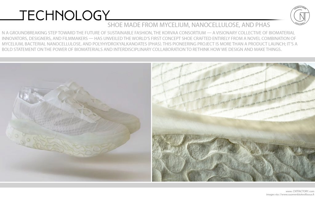 Shoe Made from Mycelium Nanocellulose PHAs