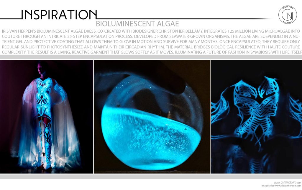 Bioluminescent Algae