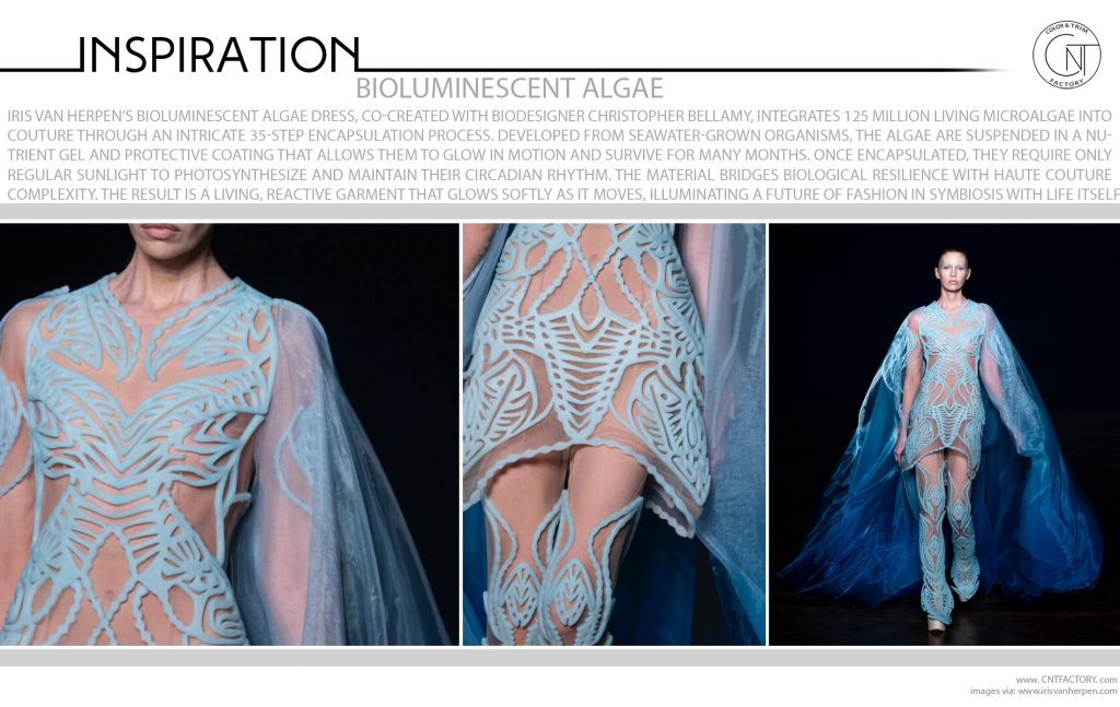 Bioluminescent Algae