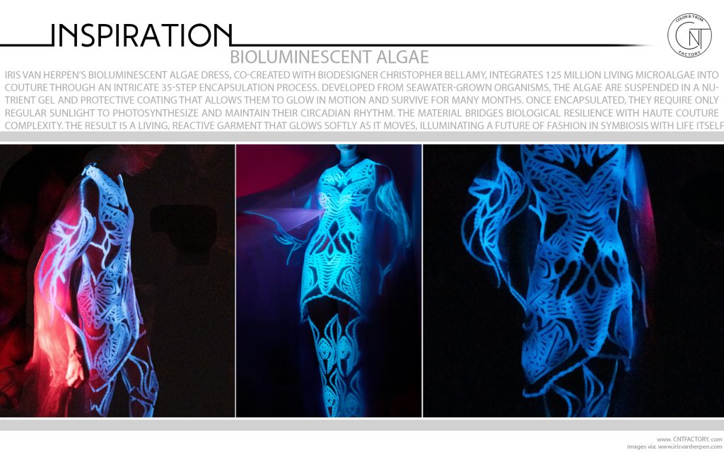 Bioluminescent Algae