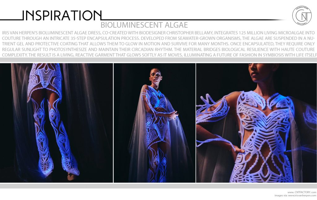 Bioluminescent Algae