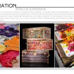 Petals In Suspension