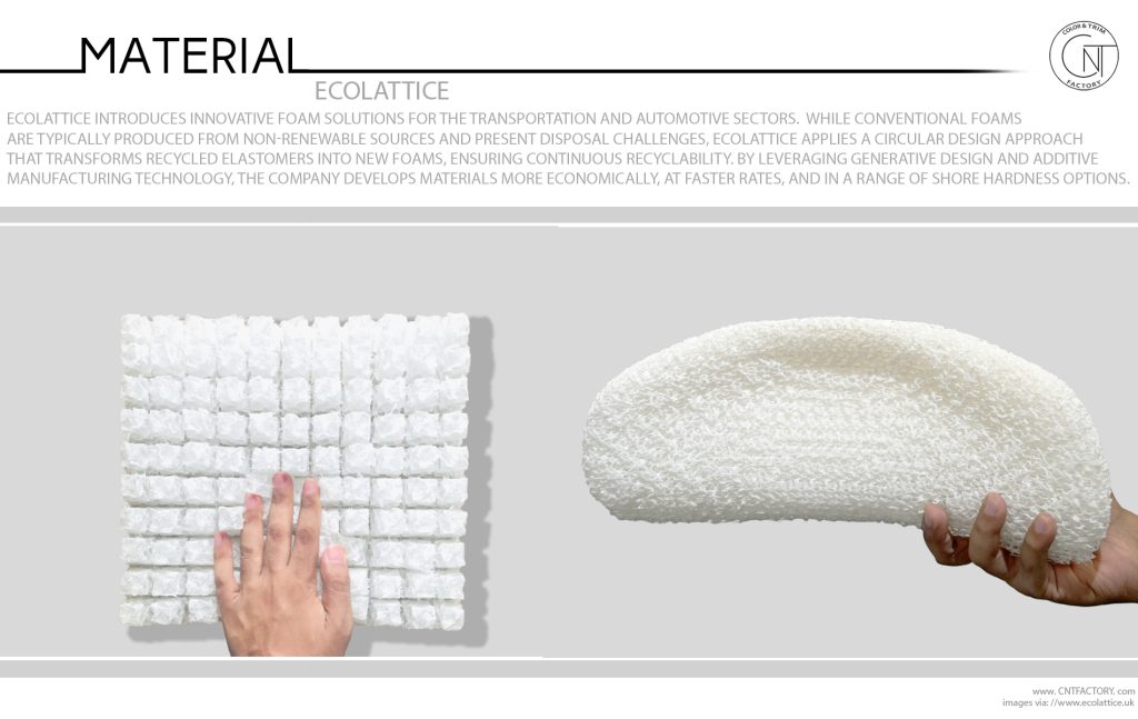 EcoLattice Innovation for a Sustainable Future