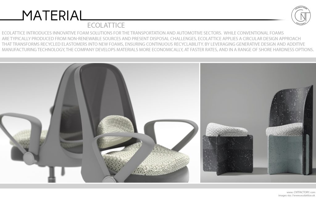 EcoLattice Innovation for a Sustainable Future