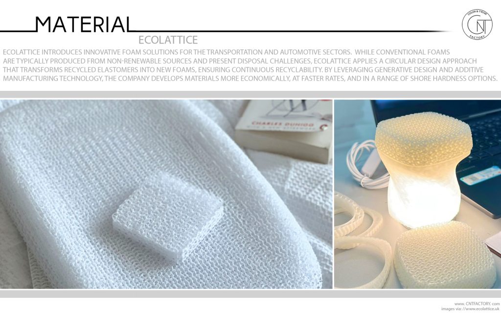 EcoLattice Innovation for a Sustainable Future