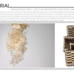 Mariantonia Urru / Circular Innovation from Wool Waste