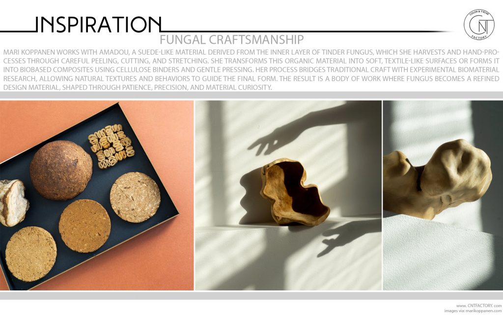 Fungal Craftsmanship