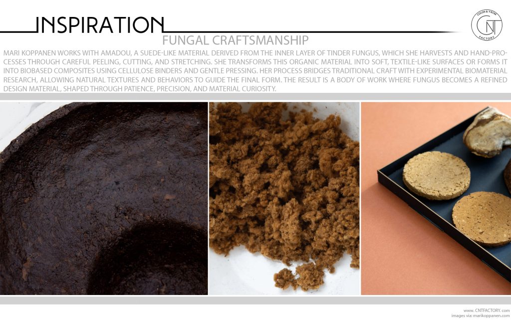 Fungal Craftsmanship