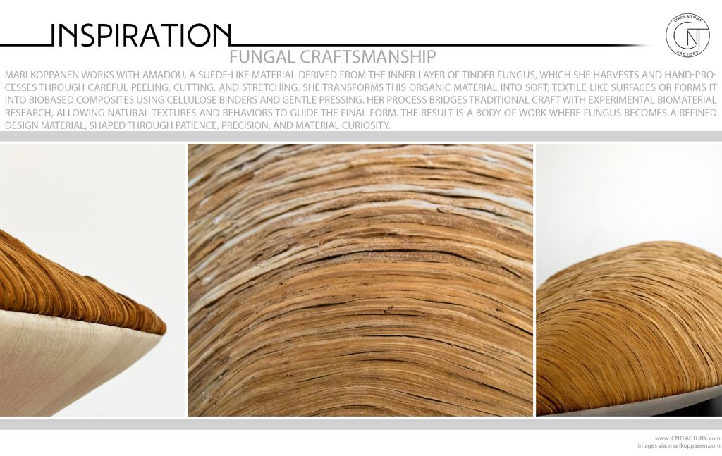 Fungal Craftsmanship