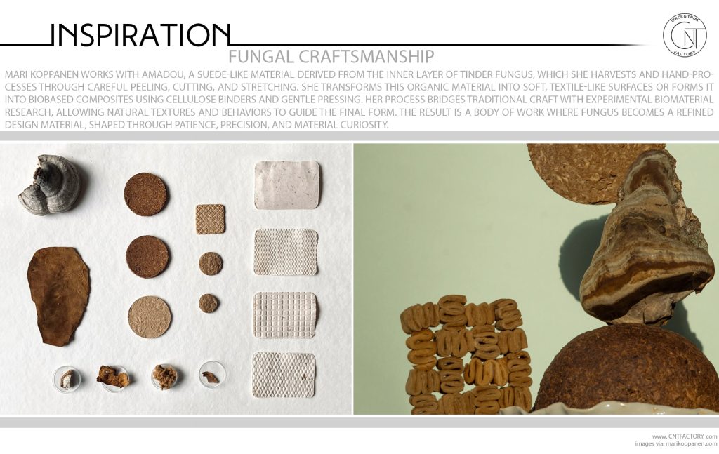 Fungal Craftsmanship